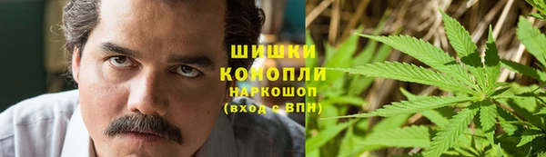 гашик Алексин