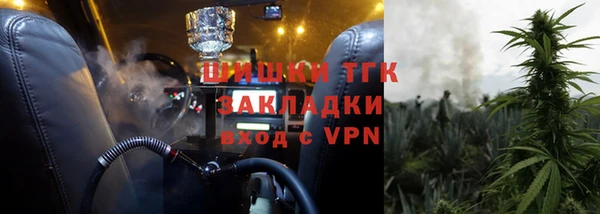 гашик Алексин