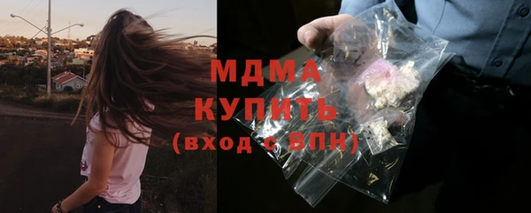 гашик Алексин