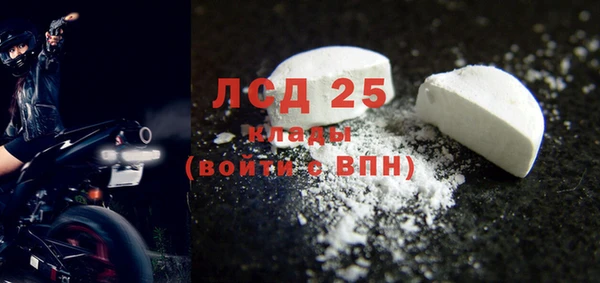 гашик Алексин