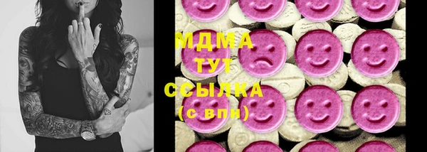 гашик Алексин