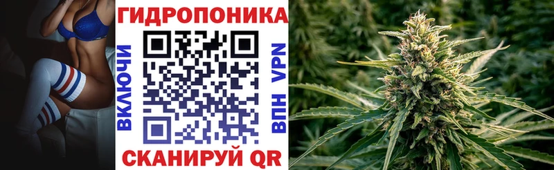 hydra зеркало  Кемерово  МАРИХУАНА семена 